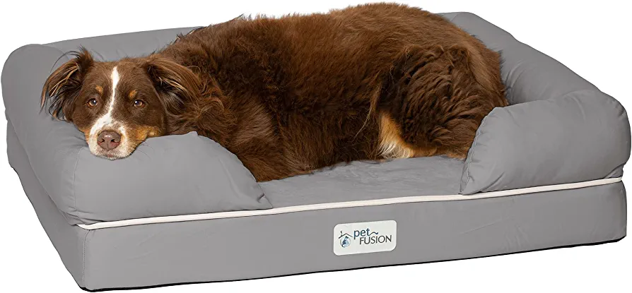 Funny Fuzzy Dog Bed Reviews - PetFusion Ultimate Dog Bed & Lounge