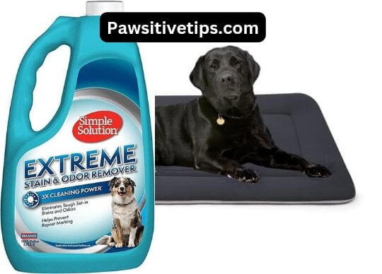 How to Clean a Smelly Dog Bed With Vinegar