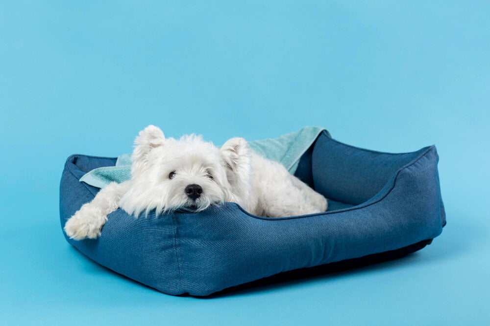 How to make a dog bed with bolster sides