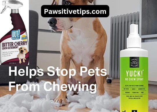 What can I spray on dog bed to stop chewing