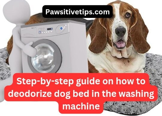 how to deodorize dog bed