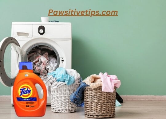 Can I use Tide to wash dog bed?