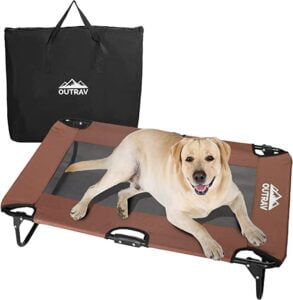 Elevated Dog Cot with Steel Frame