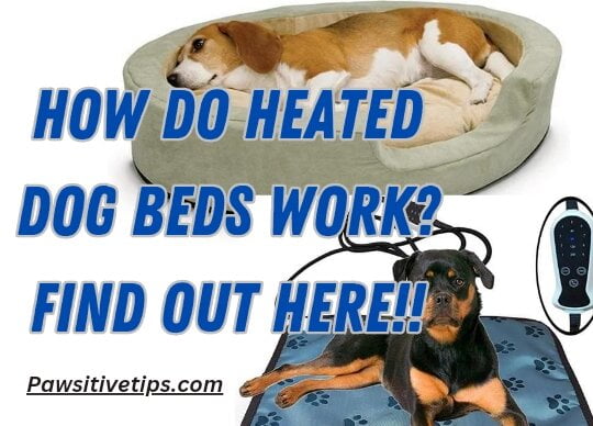 How do heated dog beds work?