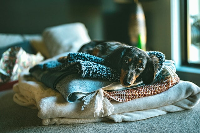 How to get rid of bad smell from blankets
