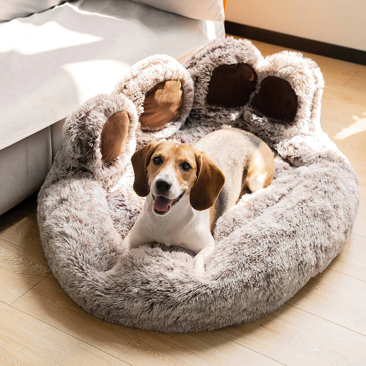 The Top 3 Best-Selling FunnyFuzzy Dog Beds of 2023
