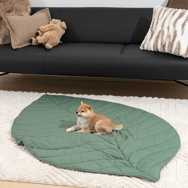 Top 8 Hilarious Funny Fuzzy Dog Blankets