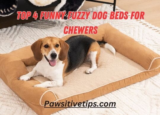 dog beds for chewers