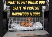 What to put under dog crate to protect hardwood floors