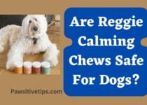 Are Reggie Calming Chews Safe For Dogs?