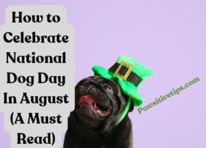 How to Celebrate National Dog Day