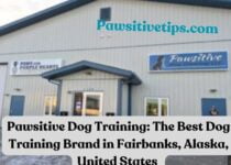 Pawsitive Dog Training Fairbanks