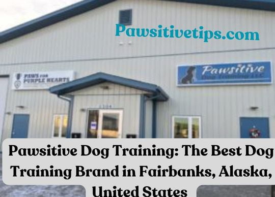 Pawsitive Dog Training Fairbanks 