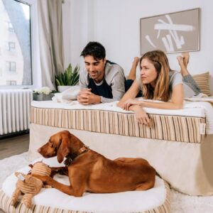 Essentia Dog Bed - A comfortable and stylish bed for your furry friend. Made with high-quality materials and featuring a plush cushion, this bed will keep your dog feeling cozy and relaxed.