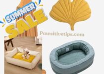 Summer Sale: Top 8 Funny Fuzzy Dog Beds To Gift Your Dog This Summer. Funny and fuzzy dog beds on sale for a limited time. These beds are perfect for keeping your dog cool and comfortable all summer long.