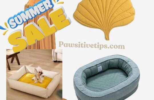 Summer Sale: Top 8 Funny Fuzzy Dog Beds To Gift Your Dog This Summer. Funny and fuzzy dog beds on sale for a limited time. These beds are perfect for keeping your dog cool and comfortable all summer long.