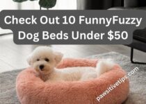 10 Funny Fuzzy dog beds under $50