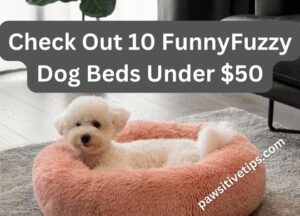 Funny Fuzzy dog beds