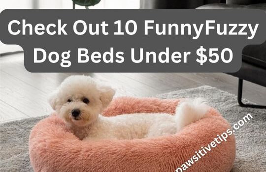 10 Funny Fuzzy dog beds under $50